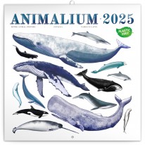 NOTIQUE Poznámkový kalendár Animalium 2025, 30 x 30 cm