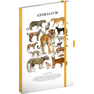 NOTIQUE Notes Animalium – Mačkovité šelmy, linajkovaný, 13 x 21 cm