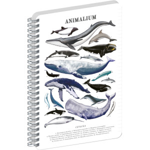 NOTIQUE Špirálový blok Animalium – Pod morom, linajkovaný, A4