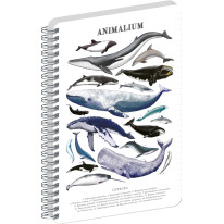 NOTIQUE Špirálový blok Animalium – Pod morom, linajkovaný, A5
