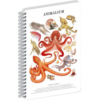 NOTIQUE Špirálový blok Animalium – Hlavonožce, linajkovaný, A4