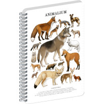NOTIQUE Špirálový blok Animalium – Psovité šelmy, linajkovaný, A4