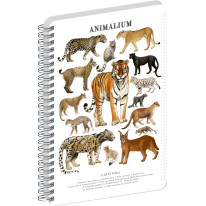 NOTIQUE Špirálový blok Animalium – Mačkovité šelmy, štvorčekovaný, A4