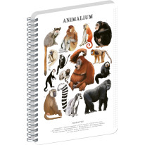 NOTIQUE Špirálový blok Animalium – Primáty, štvorčekovaný, A4