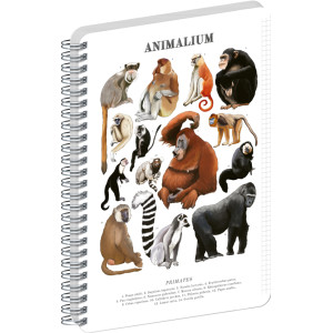 NOTIQUE Špirálový blok Animalium – Primáty, štvorčekovaný, A5