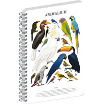 NOTIQUE Špirálový blok Animalium – Vtáky, čistý, A5