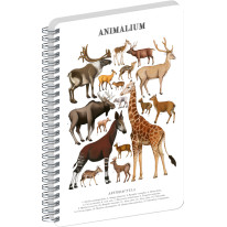 NOTIQUE Špirálový blok Animalium – Párnokopytníky, čistý, A4