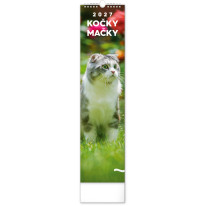 NOTIQUE Nástenný kalendár Mačky CZ/SK 2027, 12 x 48 cm