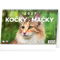 NOTIQUE Stolový kalendár Kočky – Mačky CZ/SK 2027, 23,1 x 14,5 cm
