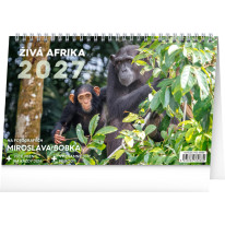 NOTIQUE Stolový kalendár Živá Afrika CZ 2027, 23,1 x 14,5 cm