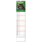 NOTIQUE Nástenný kalendár Mačky CZ/SK 2027, 12 x 48 cm