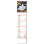 NOTIQUE Nástenný kalendár Mačky CZ/SK 2027, 12 x 48 cm