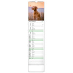 NOTIQUE Nástenný kalendár Psy CZ/SK 2027, 12 x 48 cm