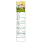 NOTIQUE Nástenný kalendár Psy CZ/SK 2027, 12 x 48 cm