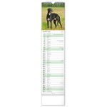 NOTIQUE Nástenný kalendár Psy CZ/SK 2027, 12 x 48 cm