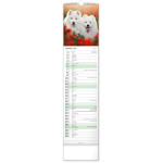 NOTIQUE Nástenný kalendár Psy CZ/SK 2027, 12 x 48 cm