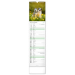NOTIQUE Nástenný kalendár Psy CZ/SK 2027, 12 x 48 cm
