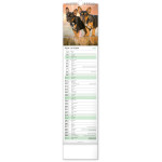 NOTIQUE Nástenný kalendár Psy CZ/SK 2027, 12 x 48 cm