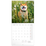 NOTIQUE Poznámkový kalendár Happy Doge 2027, 30 x 30 cm
