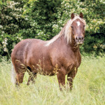 NOTIQUE Poznámkový kalendár Kone – Christiane Slawik 2027, 30 x 30 cm