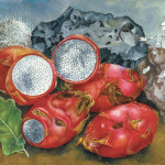 NOTIQUE Poznámkový kalendár Frida Kahlo 2027, 30 x 30 cm