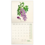 NOTIQUE Poznámkový kalendár Herbár Plastic FREE 2027, PLASTIC FREE, 30 x 30 cm
