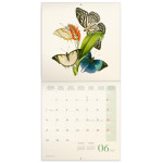 NOTIQUE Poznámkový kalendár Motýle FREE 2027, PLASTIC FREE, 30 x 30 cm