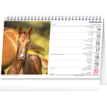 NOTIQUE Stolový kalendár Koně – Kone CZ/SK 2027, 23,1 x 14,5 cm