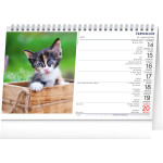 NOTIQUE Stolový kalendár Kočky – Mačky CZ/SK 2027, 23,1 x 14,5 cm
