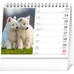 NOTIQUE Stolový kalendár Psy – s menami psov 2027, 16,5 x 13 cm