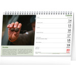 NOTIQUE Stolový Rybársky kalendár CZ 2027, 23,1 x 14,5 cm