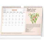 NOTIQUE Mesačný plánovací kalendár so semienkami CZ 2027, 30 x 21 cm