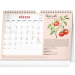 NOTIQUE Mesačný plánovací kalendár so semienkami CZ 2027, 30 x 21 cm
