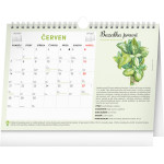 NOTIQUE Mesačný plánovací kalendár so semienkami CZ 2027, 30 x 21 cm