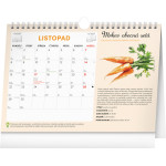 NOTIQUE Mesačný plánovací kalendár so semienkami CZ 2027, 30 x 21 cm