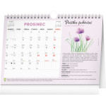NOTIQUE Mesačný plánovací kalendár so semienkami CZ 2027, 30 x 21 cm