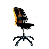 Opierka chrbta Fellowes Professional Mesh