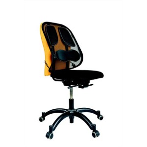 Opierka chrbta Fellowes Professional Mesh