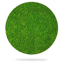 Machový obraz kruh LIŠAJNÍK mono GREEN, priemer 55cm, dubový rám