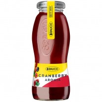Džús RAUCH Brusnica 24 x 0,2l ℓ NEVRATNÉ SKLO